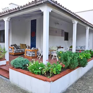 Santos Bari